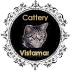 Vistamar.cattery.gif (11691 bytes)