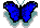 blue_butterfly.gif (1090 bytes)