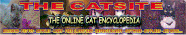 catsitebanner.gif (20007 bytes)