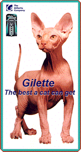 gilette.gif (18818 bytes)