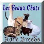 rare.breeds.cats.jpg (9784 bytes)