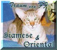 traum cats siamese (17469 bytes)